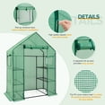 thumbnail image 4 of EAGLE PEAK 61'' x 28'' x 79'' Walk-in Greenhouse with 2 Tier 4 Shelves, Zipper Entry Door, and 2 Side Windows, 4 of 8