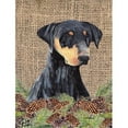 thumbnail image 1 of Carolines Treasures SC9038CHF Doberman Flag Canvas - House Size, 1 of 4