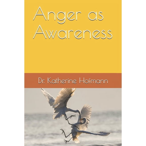 Anger as Awareness (Paperback)