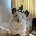 thumbnail image 5 of Adorable Hat for Small and Cats with Adjustable Strap Soft Breathable Outdoor, 5 of 5