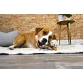 thumbnail image 4 of Juguete para Perro Nylabone Hueso de Horquilla Gourmet Grande/Gigante, 4 of 13