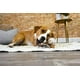 thumbnail image 4 of Juguete para Perro Nylabone Hueso de Horquilla Gourmet Grande/Gigante, 4 of 13