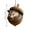 A, variant on Forest Animal Acorn Ornaments 3D, Detailed Woodland Creature Figurines in Acorn Shell, Shatterproof Resin Christmas Tree Ornaments, Unique Animal Lover Gift Idea, Christmas Decor Set, A