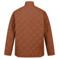 thumbnail image 5 of Regatta - Chaqueta Aislante Londyn de Acolchado para Hombre (Pan de Jengibre), 5 of 5