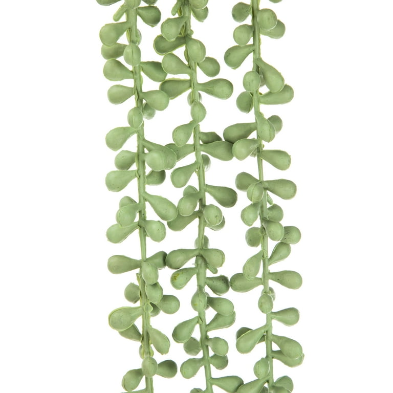 Mainstays 24" Artificial String of Pearls Succulent Pick, Mint Green -  Walmart.com
