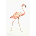 thumbnail image 2 of Hakimipour, Tiffany 23x32 Black Ornate Wood Framed with Double Matting Museum Art Print Titled - Flamingo Duo I, 2 of 4