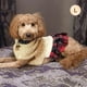 thumbnail image 3 of Jersey KYEESE para perros pequeños, vestido de cuello alto para niñas, 3 of 9