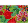 thumbnail image 1 of Home Fires PY-LAY001 Tapis d'Intérieur 22 Po x 34 Po - Vert, 1 of 1