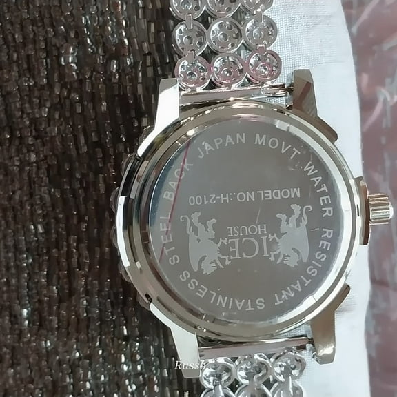 Iced out  Mens watch