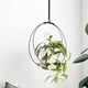thumbnail image 4 of Colgante Moderno para Sala de Estar Balcón Estudio Estructura de Metal con Jardinera de Fibra de Vidrio Decoración, 4 of 7