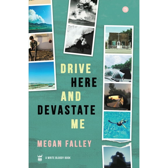 Drive Here and Devastate Me, (Hardcover)