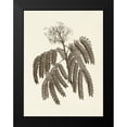 thumbnail image 2 of Vision Studio 19x24 Black Modern Framed Museum Art Print Titled - Sepia Botanicals V, 2 of 5