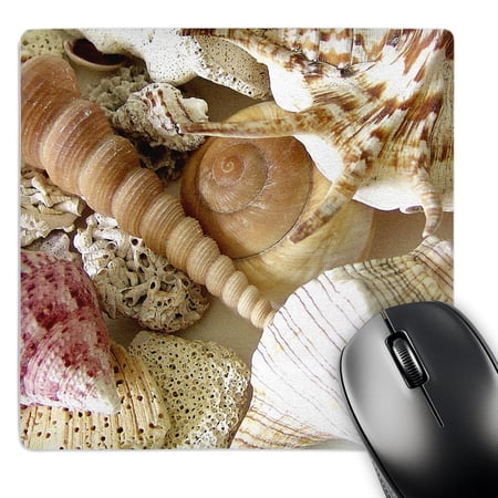 3dRose  Florida Keys Seashells  MousePad price history on PriceWatchPro