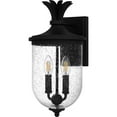 thumbnail image 3 of Quoizel Havana 2-Light Earth Black Outdoor Wall Lantern, 3 of 6