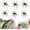 A, variant on 6Pcs Sea Urchin Bait, Realistic Fuzzy Dice Fishing Lure for Bass & Perch, Floating TPR Swimbait with Reflective Stars, 6 Colors Artificial Worm Bait for Saltwater & Freshwater