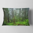 thumbnail image 2 of Designart Hoh Rain Forest - Landscape Photography Throw Pillow - 12x20, 2 of 5