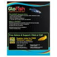 GloFish Betta Glass Aquarium Kit 1.5 Gallons, Easy Setup and