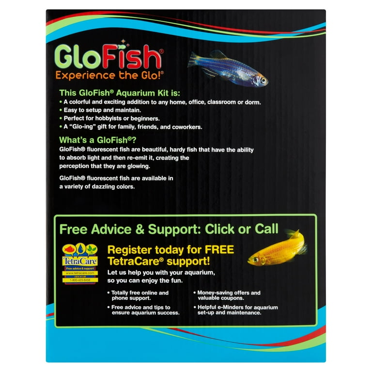 Glofish starter kit online