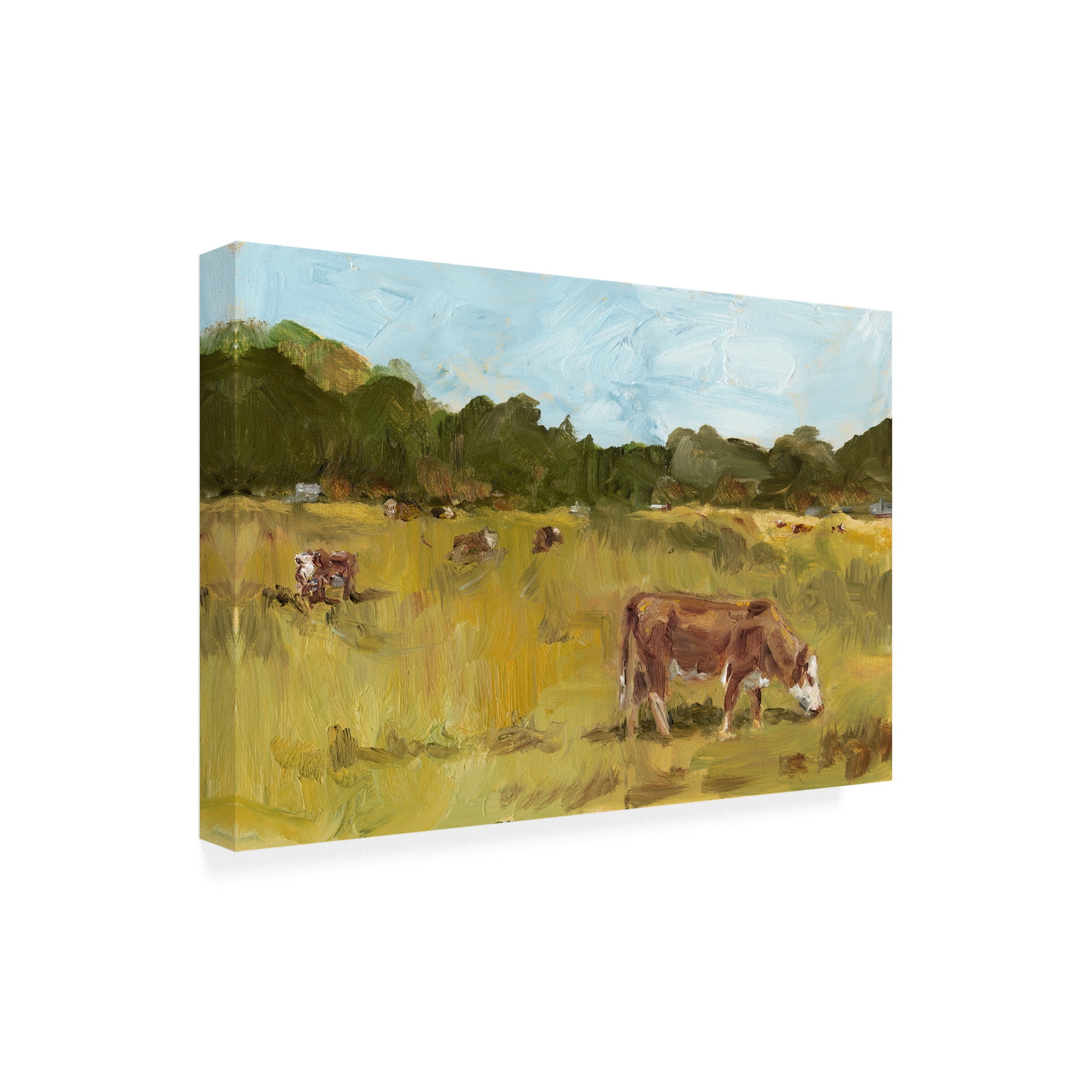 Trademark Fine Art 'Rural View I' Canvas Art by Ethan Harper