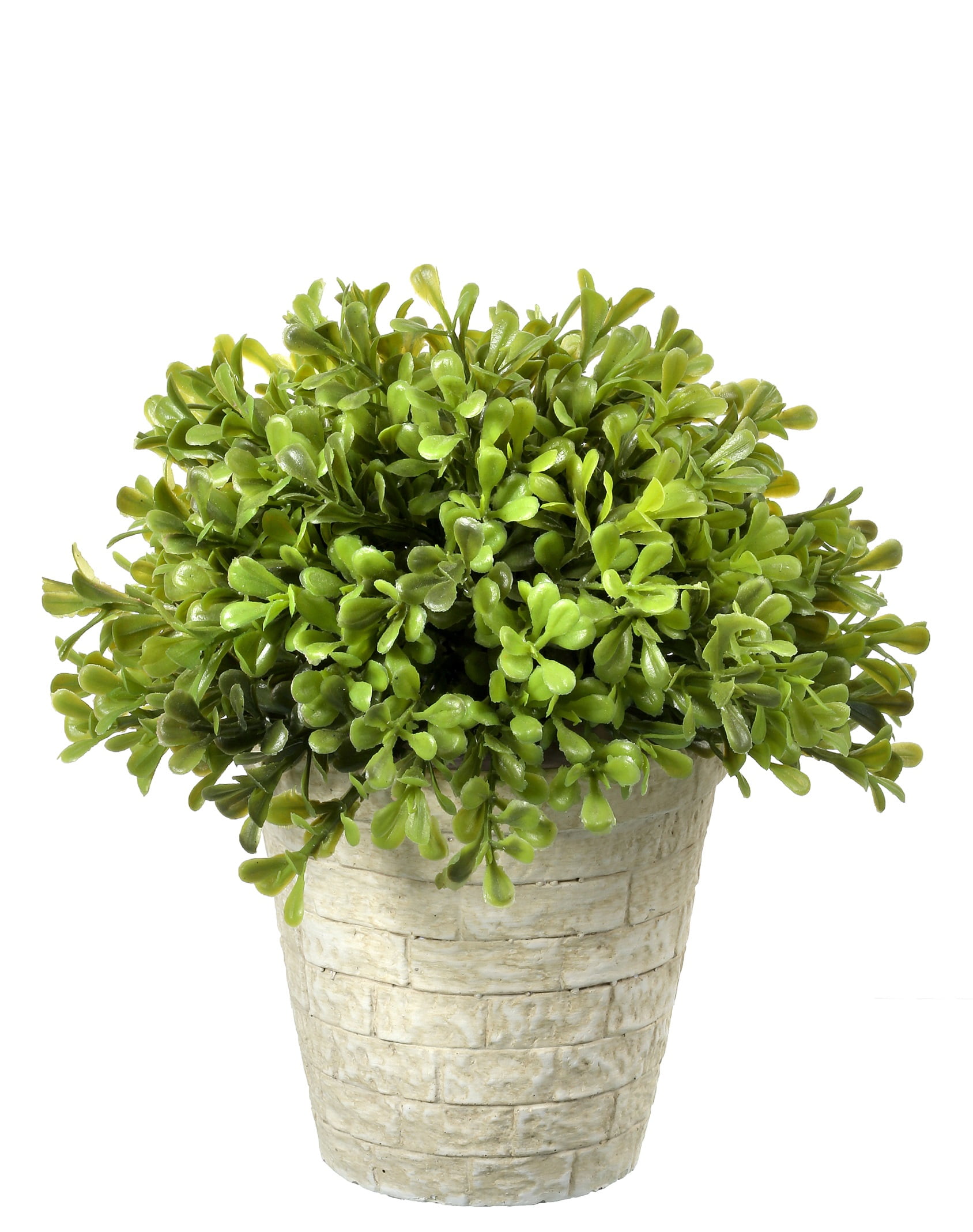 Regency Spring Artificial Boxwood Dome Topiary 8"
