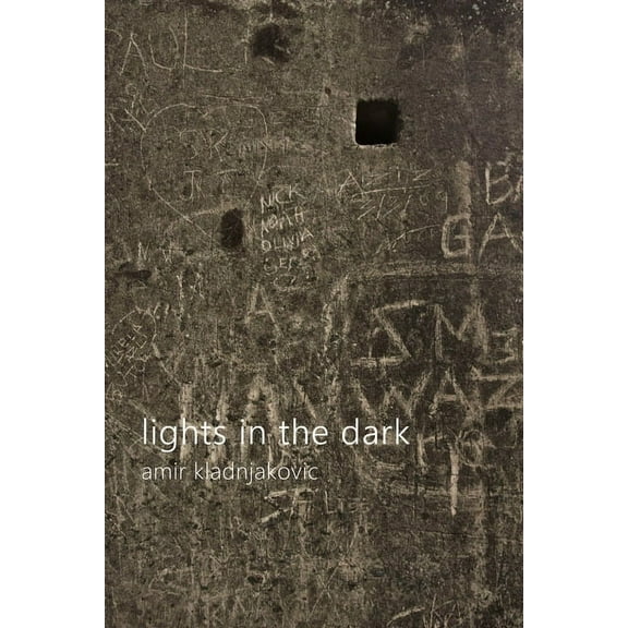 lights in the dark, (Paperback)