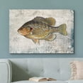 thumbnail image 2 of wall26 Framed Canvas Print Wall Art Redear Sunfish on Granite Background Marine Life Animals Digital Art Realism Nautical Scenic Colorful Ultra for Living Room, Bedroom, Office - 12"x18", 2 of 5