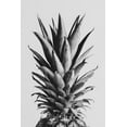 thumbnail image 2 of 1x Studio III 17x24 White Modern Wood Framed Museum Art Print Titled - Pinapple Black a White 05, 2 of 4