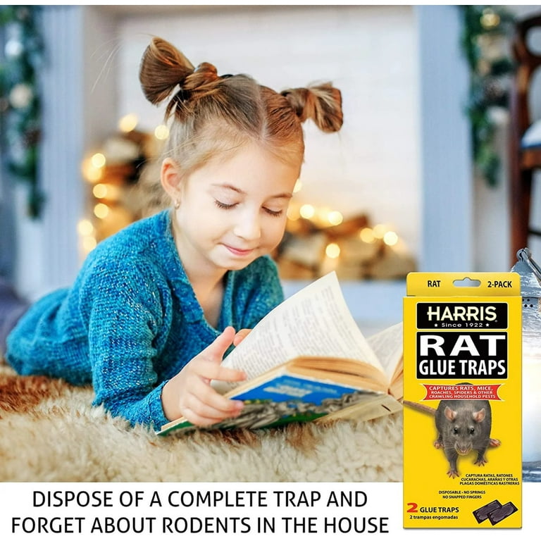 mouse-and-rat-glue-trap