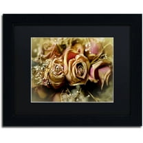 Trademark Fine Art "Painted Old Roses" Canvas Art by Lois Bryan Black Matte, Black Frame