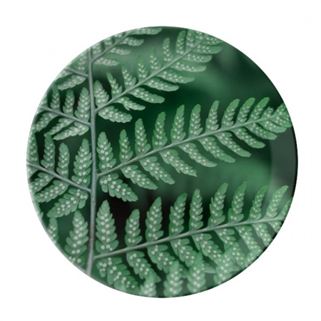 

Picture Nature Photography Plate Decorative Porcelain Salver Tableware Dinner Dish