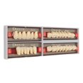 thumbnail image 3 of Prothèse dentaire en résine synthétique professionnelle pour hommes et femmes, teinte A3 425, fausses dents de remplacement, 3 of 4