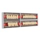 thumbnail image 3 of Professional Synthetic Resin Denture for Men and Women, Shade A3 425, False Replacement Teeth, 3 of 4