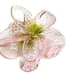 thumbnail image 1 of Pinza para el pelo con forma de flor transparente, pasadores para el pelo tipo banana, pinza antideslizante para la mandíbula, bonita pinza para el pelo para niñas, soporte para cola de caballo para m, 1 of 8