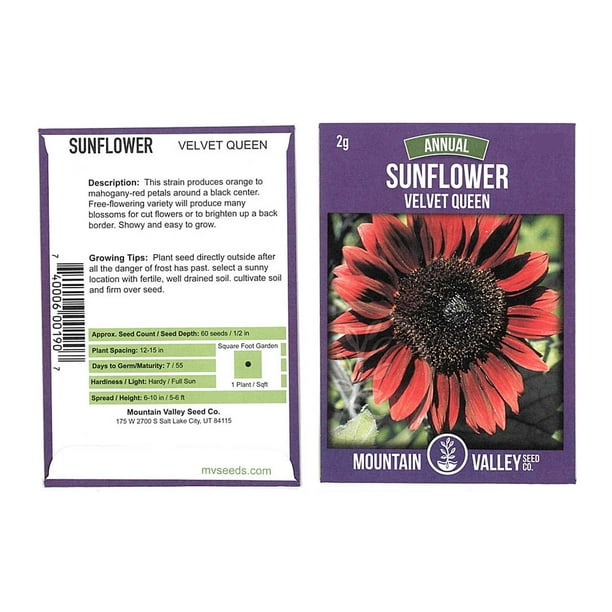 Sunflower Flower Garden Seeds Velvet Queen 2 g Packet Annual