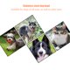 thumbnail image 5 of EeaseMX Comedero antideslizante de acero inoxidable para mascotas, para perros y gatos, ideal para el hogar, tienda de suministros para mascotas (base de 26 cm, plateado), 5 of 8