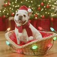 thumbnail image 1 of Gorro de Papá Noel de peluche pequeño de Navidad, gorro para perros y gatos, decoración navideña, gorro para el hogar, regalo de Año Nuevo Zhivalor ZYY-0519, 1 of 4
