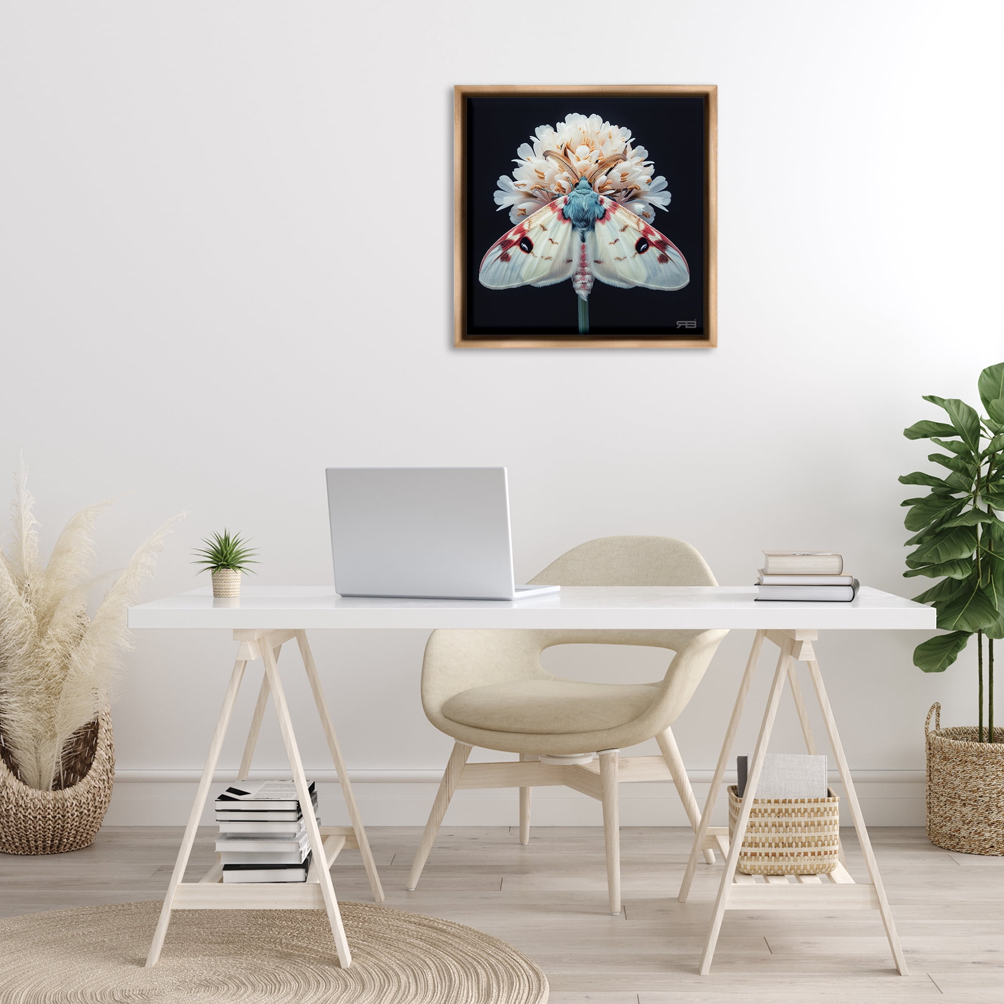 Stupell Industries Moth & White Flowers Animals & Insects Painting Brown Floater Framed Canvas Art Print Wall Art, 25 x 25