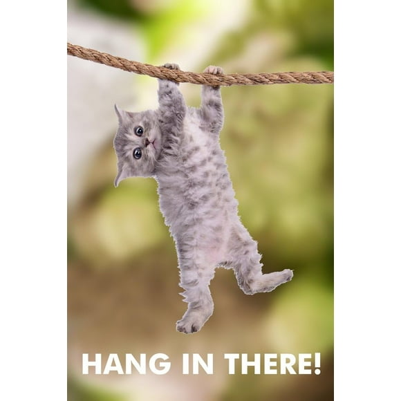 PHFZJYOU Hang There Cat Kitten Kitty Cute Creative Graphic Poster frameless Painting Canvas Wall Posters Art Picture Print Modern Home Family Bedroom office Decor 16x24inch