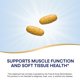thumbnail image 4 of Suplemento Nature's Way Myo-Tone Muscle Health 80 comprimidos, 4 of 6