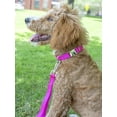 thumbnail image 4 of Country Brook Petz® 1 inch Deluxe Nylon Dog Leash, 6 Foot - Fuchsia, 4 of 6