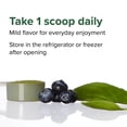 thumbnail image 6 of Vibrant Health, Green Vibrance, Vegan Superfood Powder, 30 Servings, 6 of 9