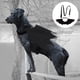 thumbnail image 3 of Pet correa para gato correa de cofre de gato sorteo chaleco de perro arnés de rosa collar rosa correa de pecho suministros para mascotas para helloween (color de botón aleatorio), 3 of 5