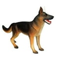 thumbnail image 2 of Modèle d'Anatomie Animale Jouet d'Assemblage d'Intelligence Chien 4d Appareils d'Apprentissage Diy, 2 of 5