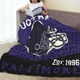 thumbnail image 4 of City Classic Football Blanket Football Decor Throw Blanket Football Fans Gifts Super Warm Soft Cozy Plush Lightweight Flannel Fleece Travel Bedding Blanket for Couch Kids Adults Women Man 50"X40", 4 of 6