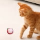 thumbnail image 4 of Juguetes Para Gatos Muñecos De Animales Gatos Entretenimiento Para Gatos Juguetes De Menta Para Gatos, 4 of 6
