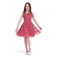 thumbnail image 4 of Kensie Girl Sleeveless Jacquard Bow Mesh Dress, Sizes 4-16, 4 of 7