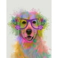 thumbnail image 2 of Fab Funky 15x18 White Modern Wood Framed Museum Art Print Titled - Golden Retriever Rainbow Splash, 2 of 4