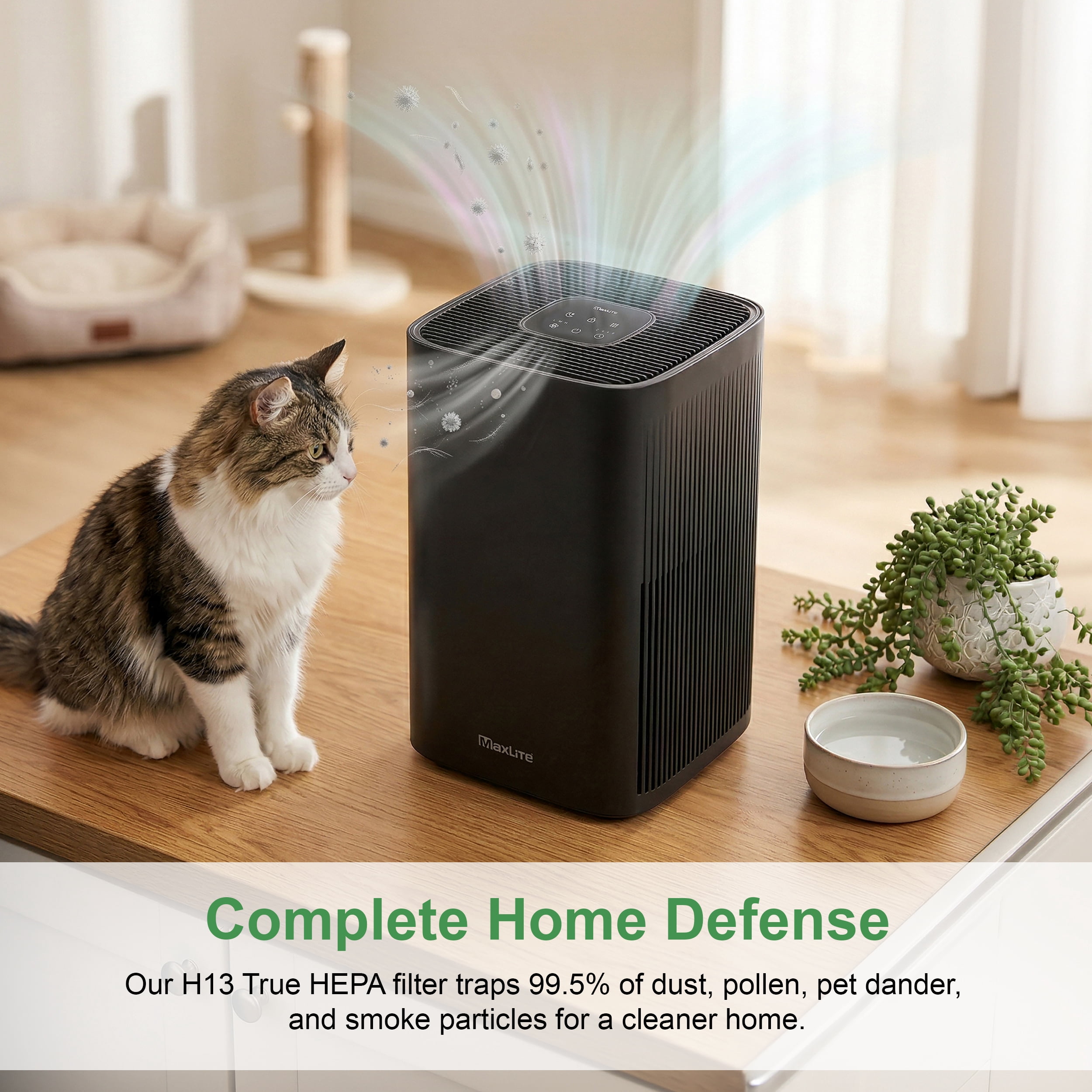 MaxLite Modern Air Purifier With True HEPA Activated Carbon Filter, 3-speed Fan, Timer, Sleep Mode, for Bedroom, Hallway, Kitchen, Office - Black
