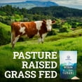 GRASS FED BEEF GELATIN POWDER 3lb Unflavored and Easy To Mix Pasture Raised Protein