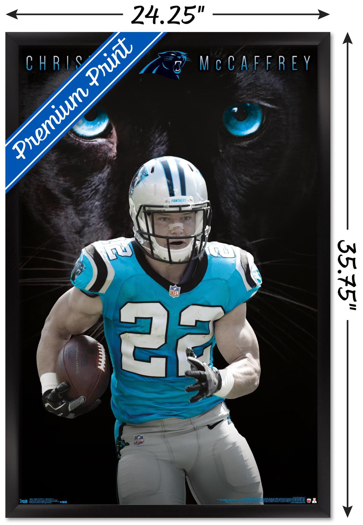 Trends International Wall Poster End Zone 17 Carolina Panthers Prints 24.25 x 35.75 